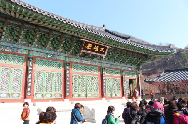 IMG_3494.png
