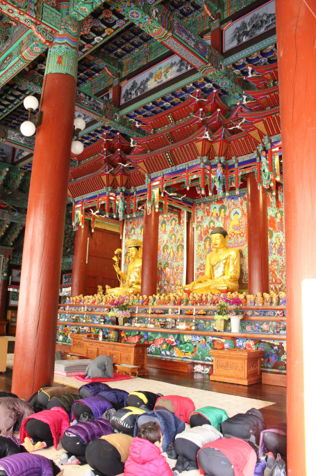 IMG_3587.png