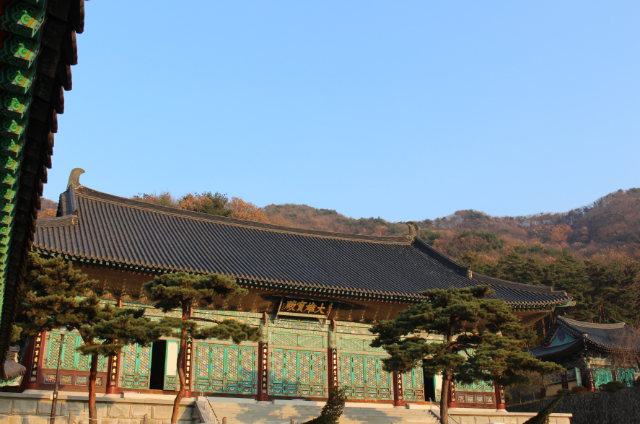 IMG_3618.png