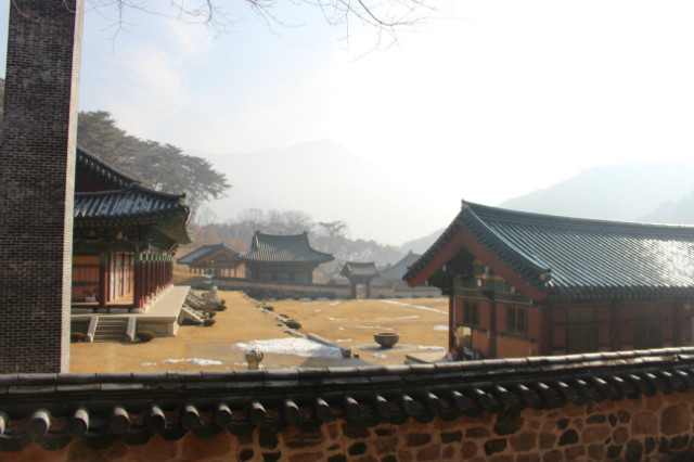 IMG_4822.JPG