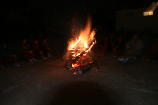 IMG_4492.JPG