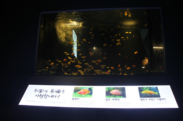 IMG_4777.JPG