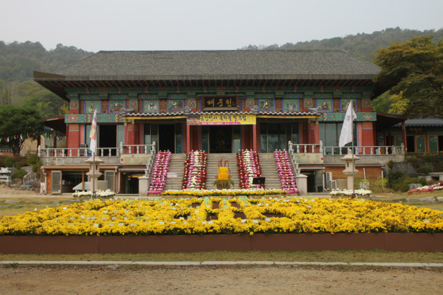 IMG_7669.JPG