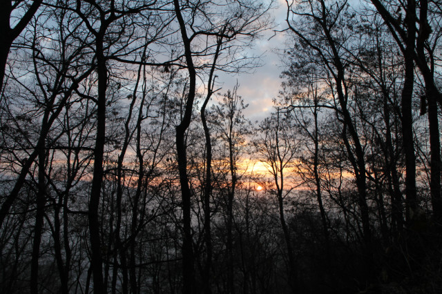 IMG_8073.JPG