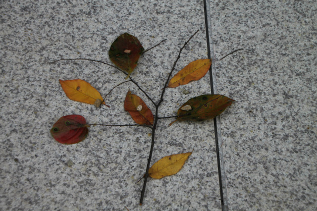 IMG_1874.JPG