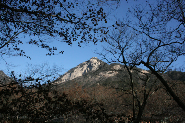 IMG_4258.JPG