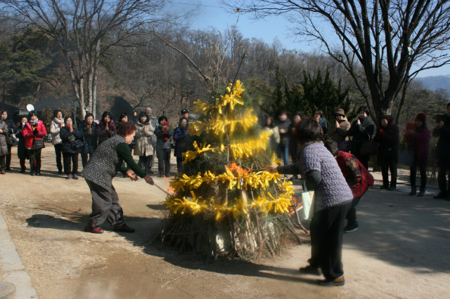 IMG_4670.JPG