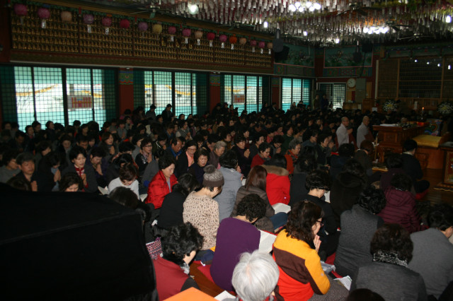 IMG_4446.JPG