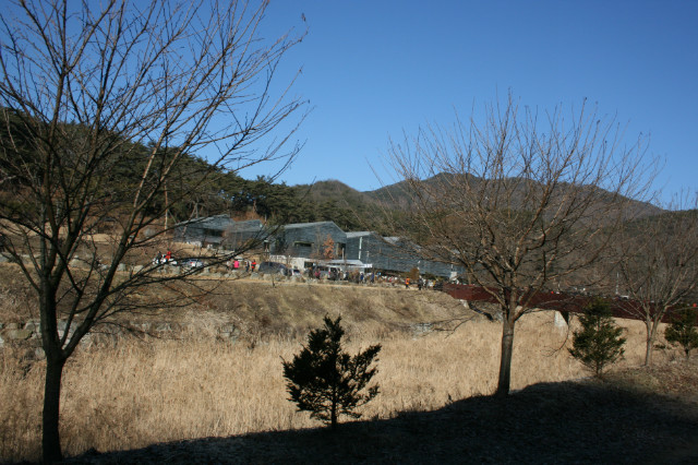 IMG_4720.JPG