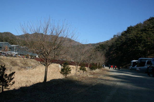 IMG_4721.JPG