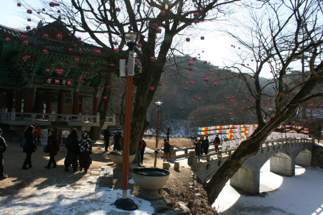 IMG_4780.JPG