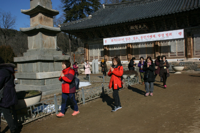 IMG_4788.JPG