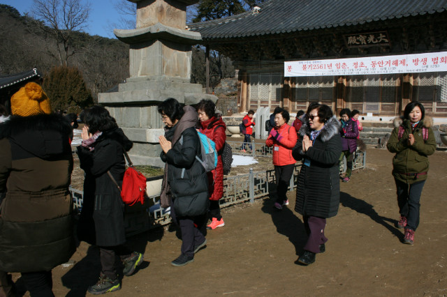 IMG_4790.JPG