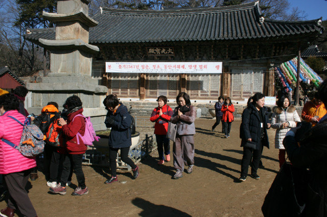 IMG_4793.JPG