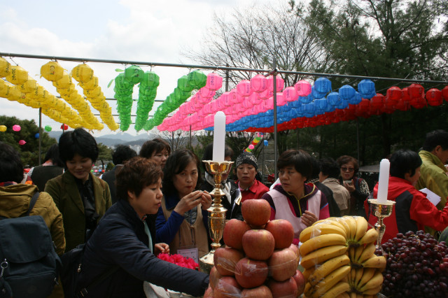 IMG_5906.JPG