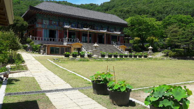 20170610_125450.jpg
