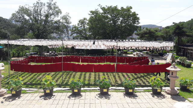 20170803_104532.jpg