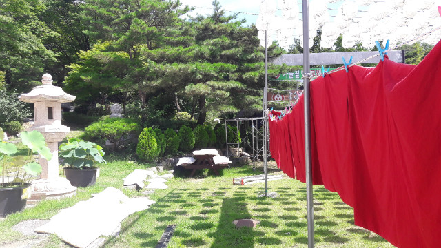 20170803_104922.jpg