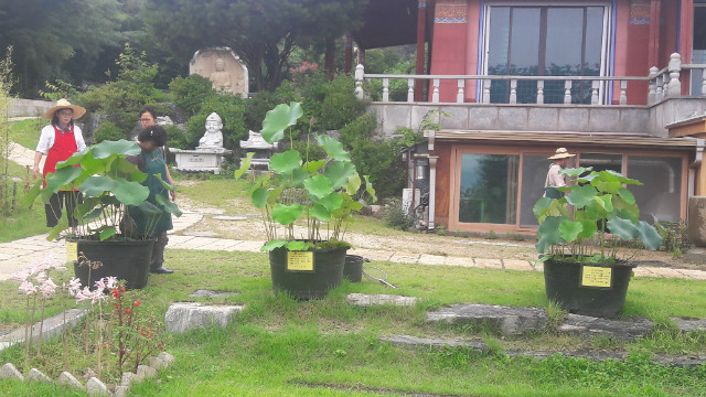 20170808_161853.jpg