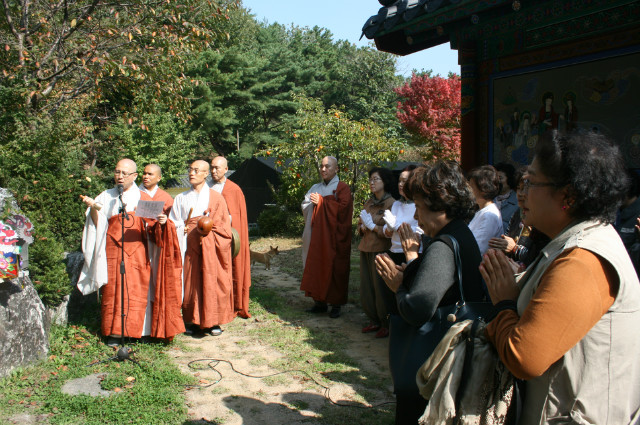IMG_7978.JPG