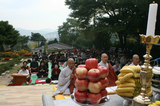 IMG_8036.JPG