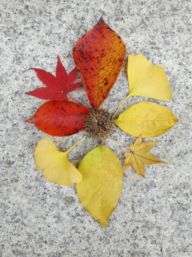 20171105_090848.jpg