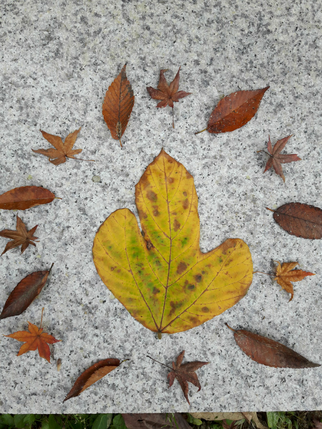 20171105_090859.jpg