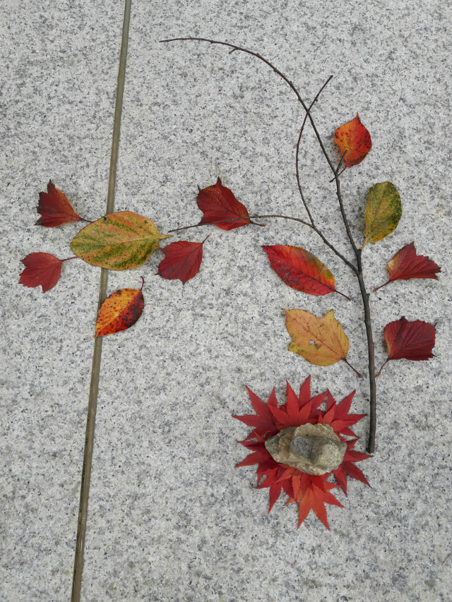 20171105_090915.jpg