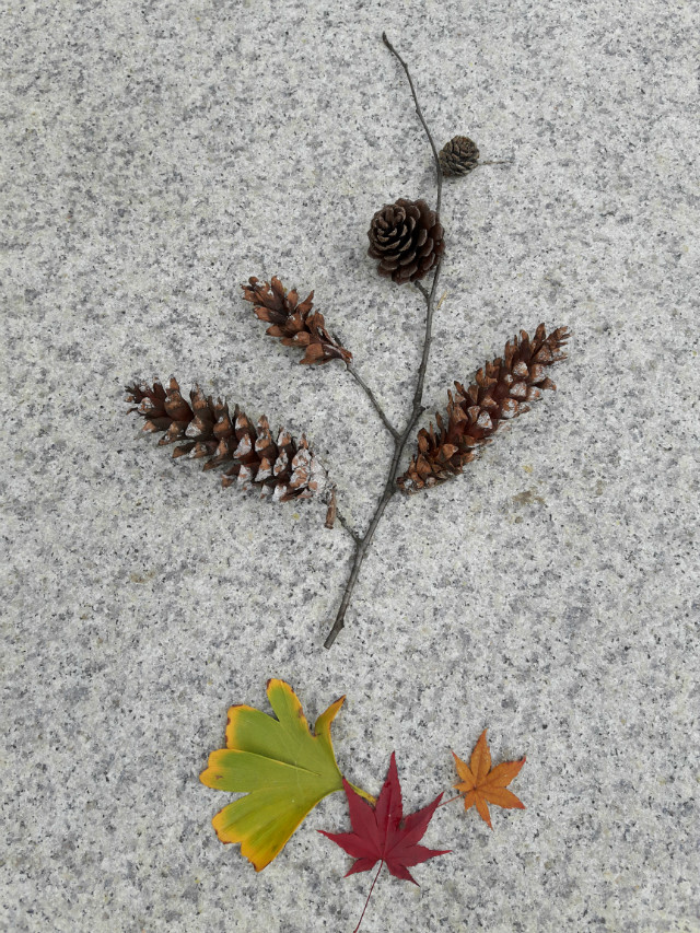 20171105_090926.jpg