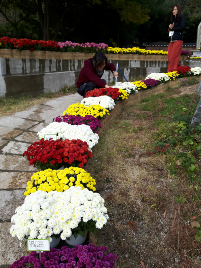 20171105_092633.jpg