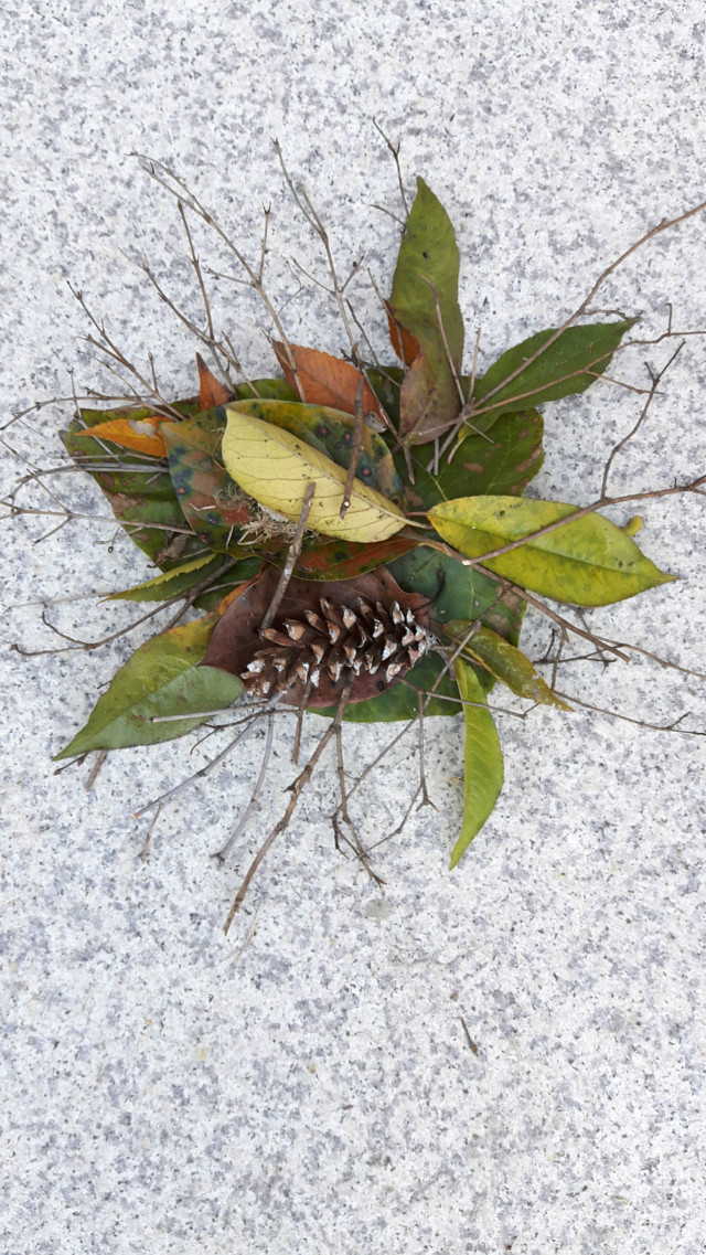 20171022_085347.jpg