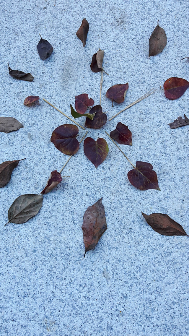 20171022_085552.jpg