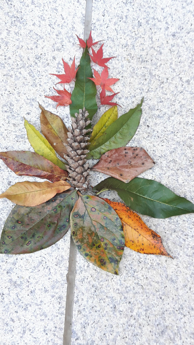 20171022_085643.jpg