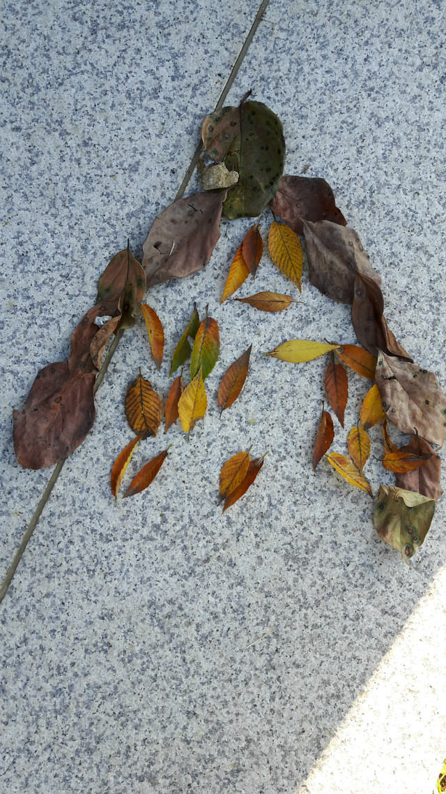 20171022_090132.jpg