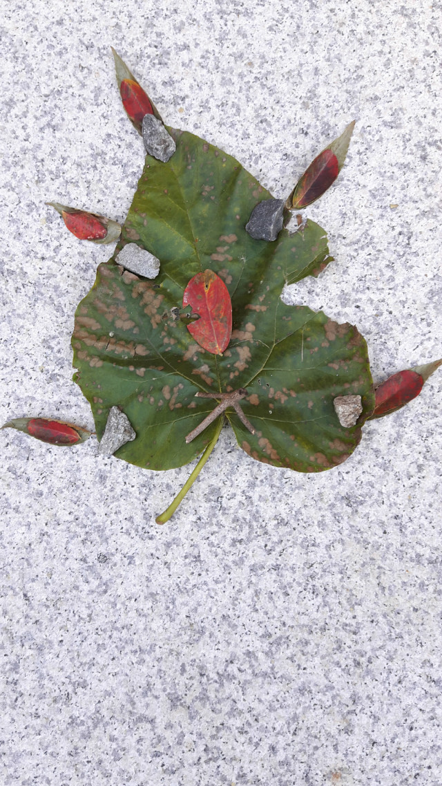20171022_090219.jpg