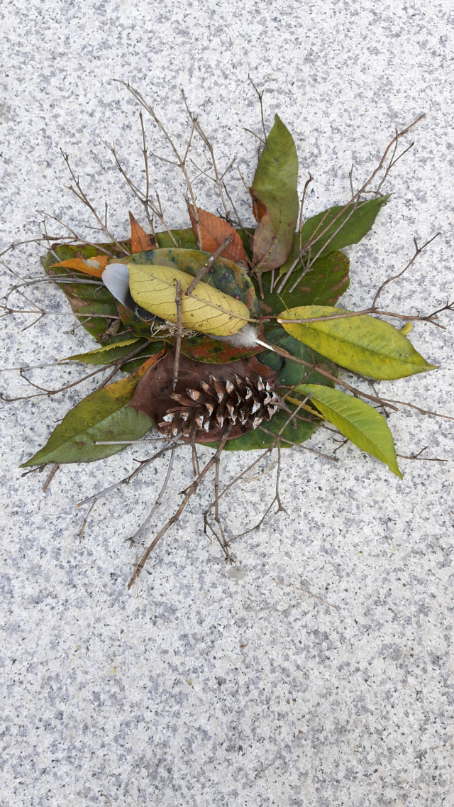 20171022_090226.jpg