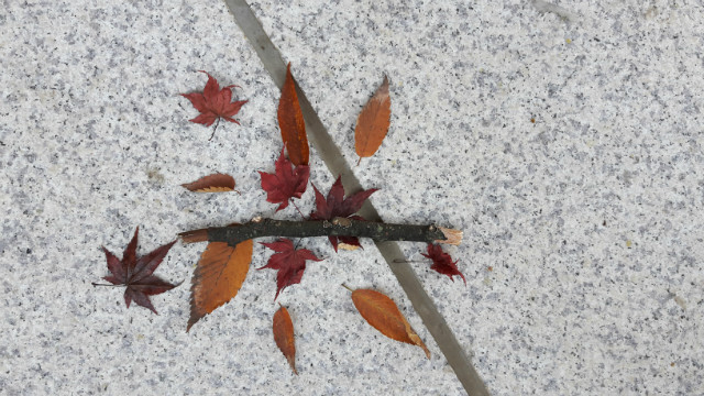 20171022_090304.jpg