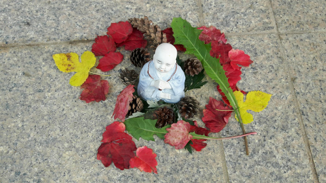 20171029_091435.jpg