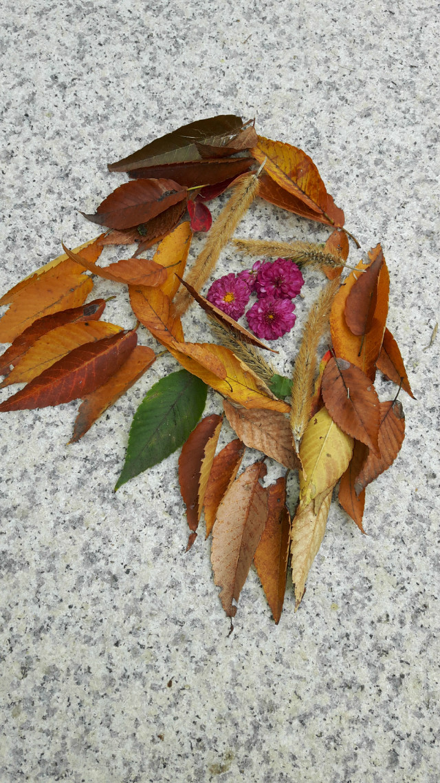 20171029_091517.jpg