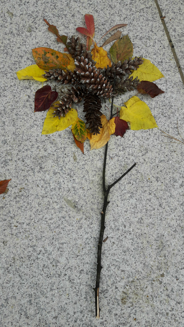 20171029_091638.jpg