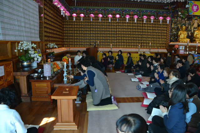 DSC_1037.JPG