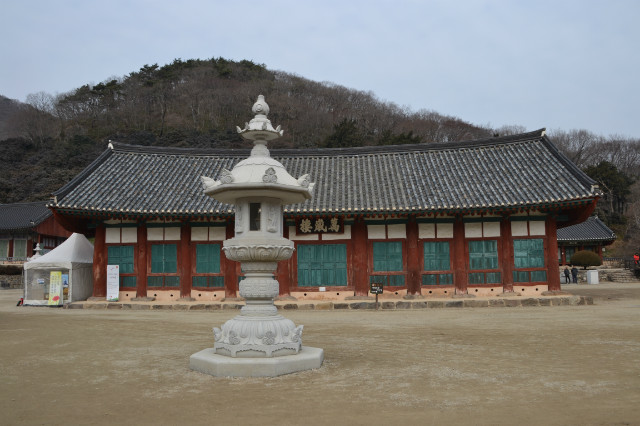 DSC_1390.JPG