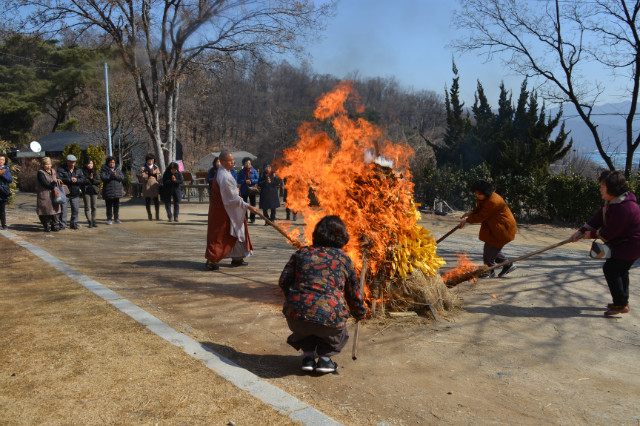 DSC_1515.JPG