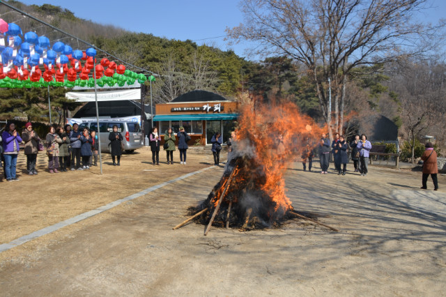DSC_1518.JPG