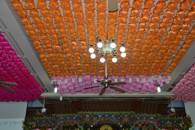 DSC_2247.JPG