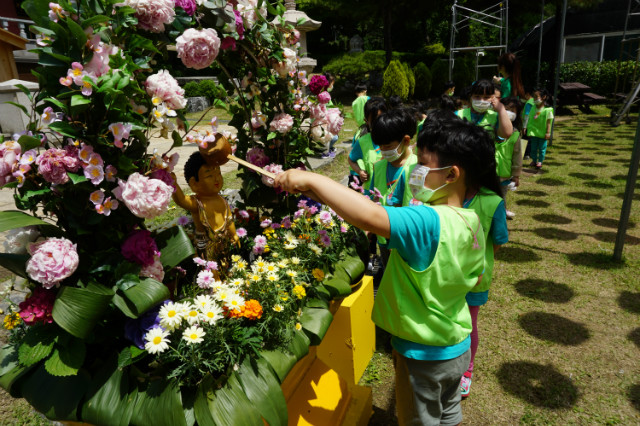 DSC00240.JPG