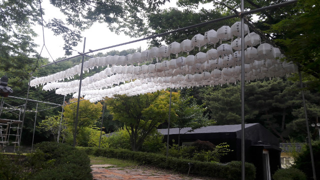 20180619_173945.jpg