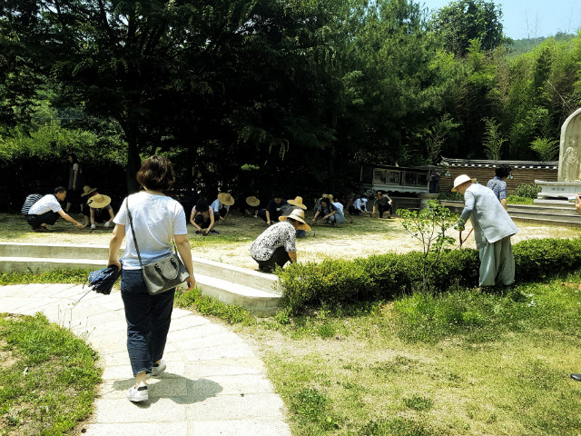 20180624_120638.jpg