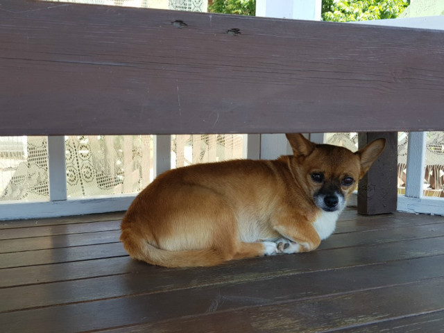 KakaoTalk_20180718_122635995.jpg