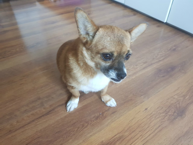 KakaoTalk_20180718_122636148.jpg